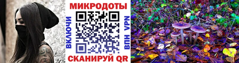 Псилоцибиновые грибы Magic Shrooms  купить наркотик  Елабуга 